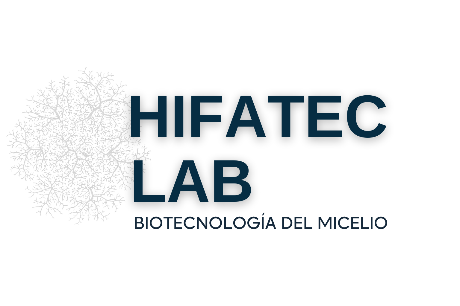hifateclab.com