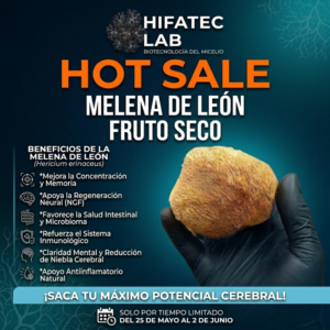 Melena de León (Hericium Erinaceus) Fruto Deshidratado cantidad 100g